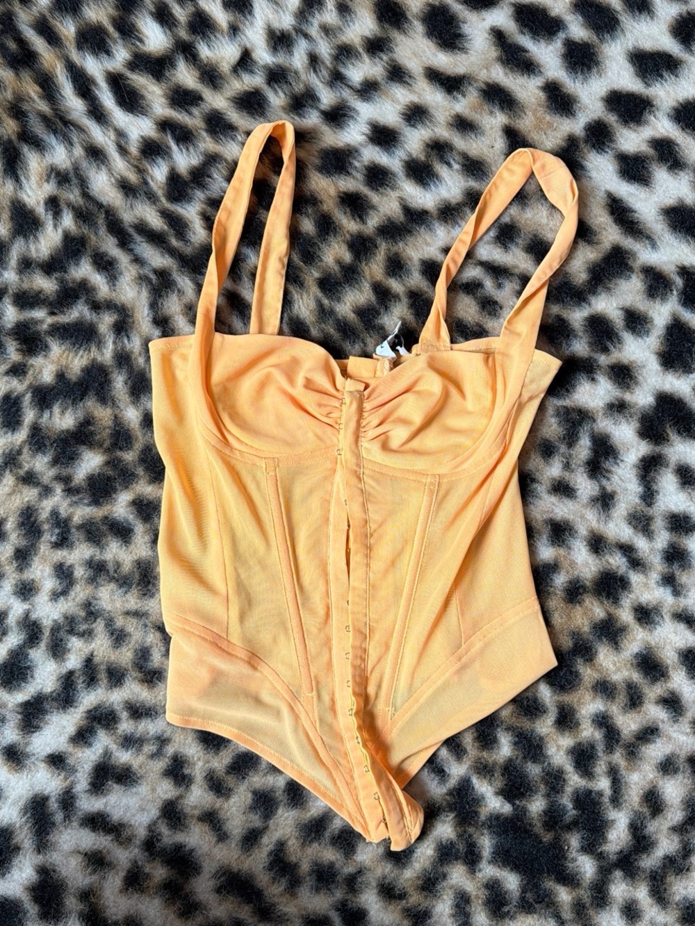 Semi Sheer Miaou Corset Top with Front Hook Closure - Women Intimates